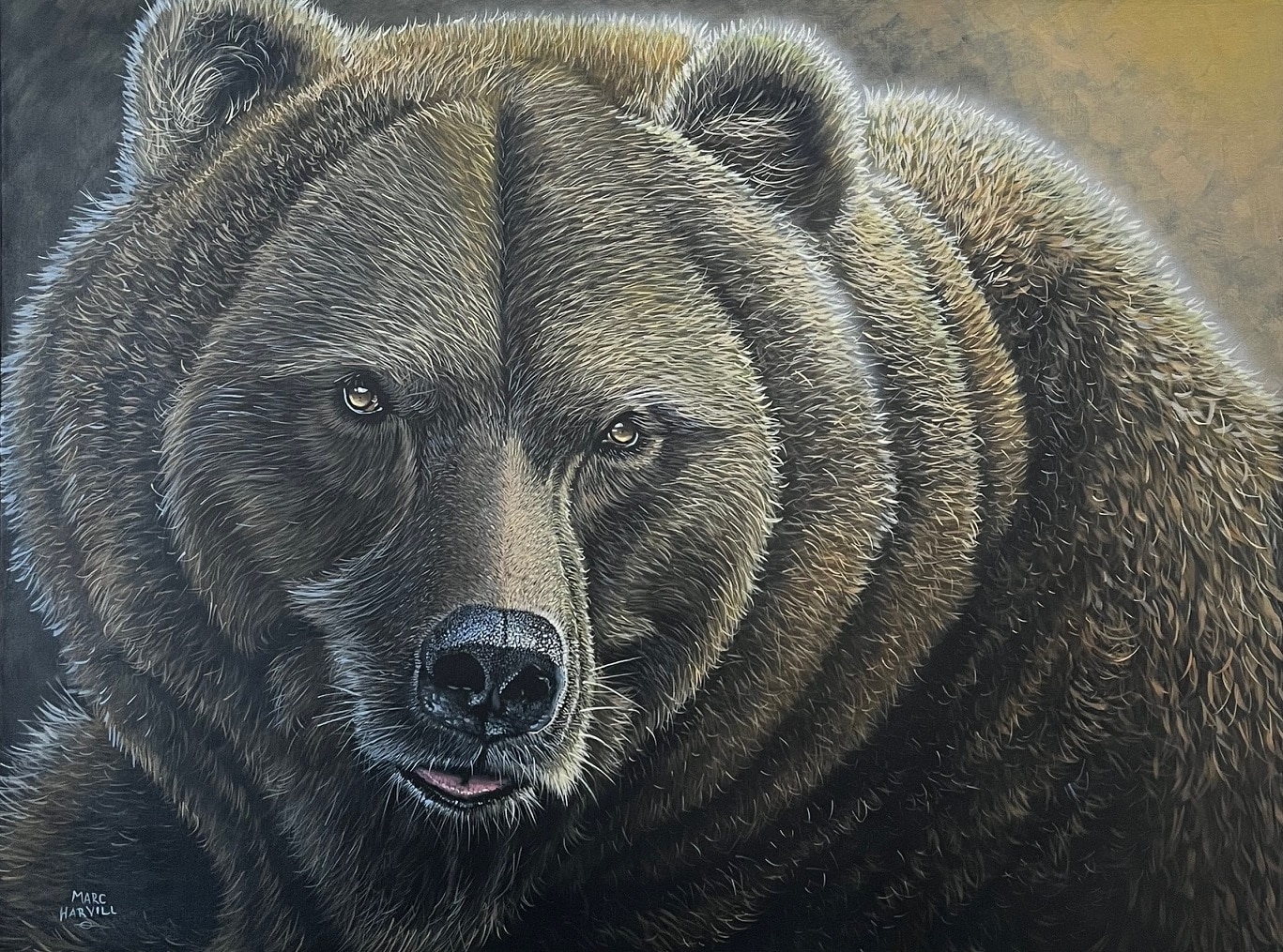 Portrait of a Grizzly - 30"x 40" - Original Artwork - Free US Shipping