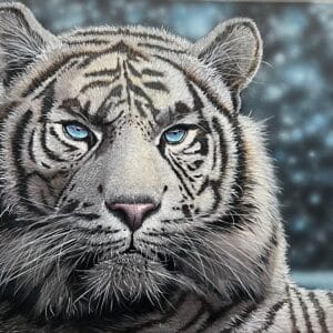 Snow Tiger- 18"x 24" - Original Artwork - Free US Shipping